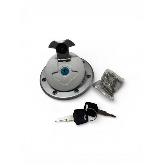 PULSAR 200 NS DEPO KAPAĞI